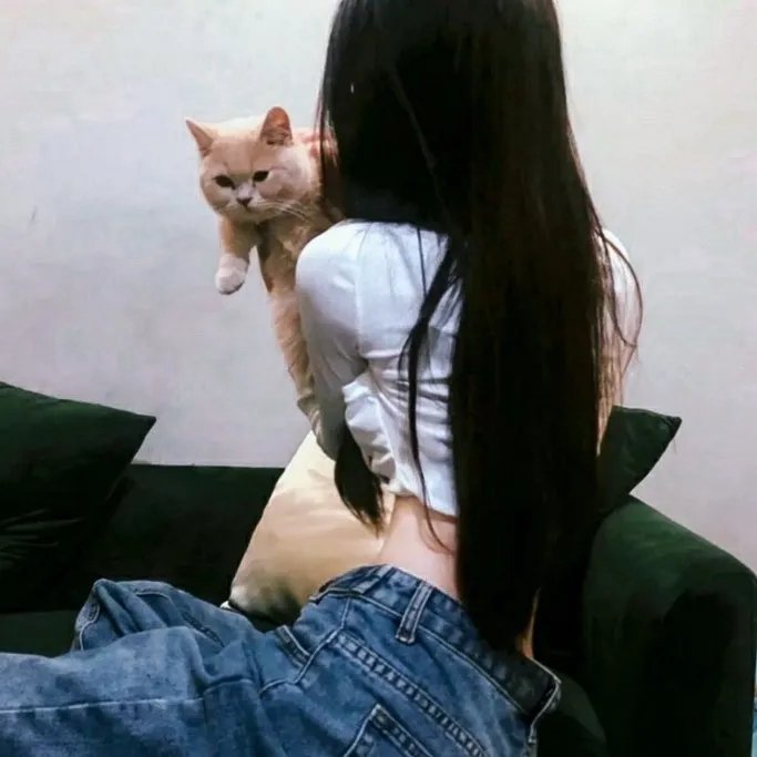 隋唐英雄传