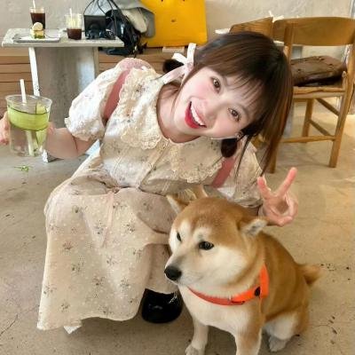 彼特和万迪